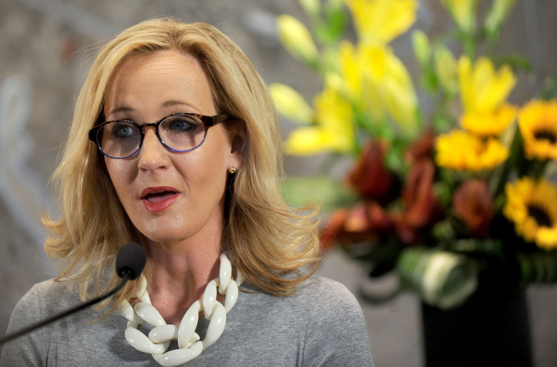 Several Potter-inspired nonprofits have sprung up over the years